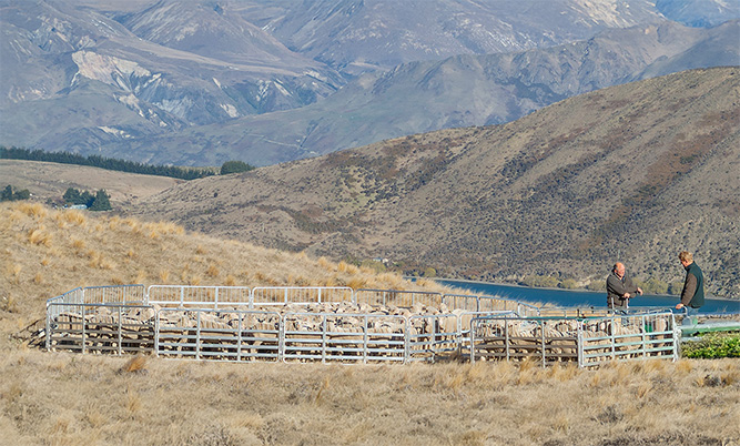 80 1920 704 changed2cropped